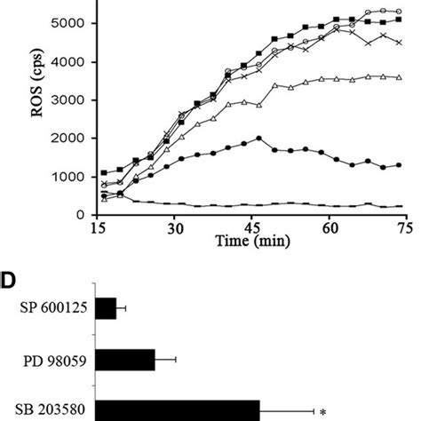 Eosinophil Chemotaxis And Activation Mediated By M Bovis Bcg A