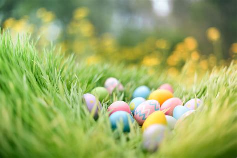 Free Easter Egg Hunt Near Me Near Me Ginnie Eleanora