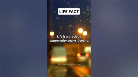 Embracing Life S Precious Moments Living With Purpose Shorts Advice Facts Psychologyfact