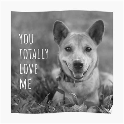 "You Totally Love Me, Dog Meme" Poster for Sale by SevillaAnimals ...