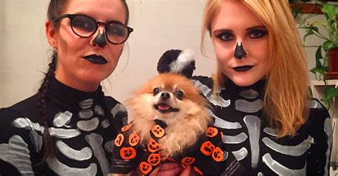 David S. Pumpkins Dog Costume | POPSUGAR Pets