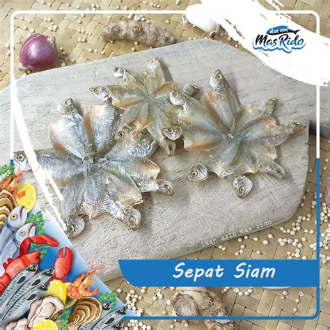 IKAN ASIN SEPAT KECIL IKAN SEPAT SIAM KWALITAS SUPER HARGA MURAH