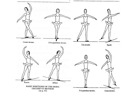 Ballet Midterm dance positions Diagram | Quizlet