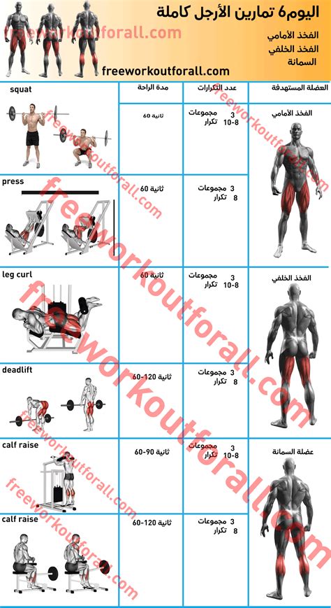 جدول تمارين كمال اجسام 5 ايام Gym Schedule Gym Workout Chart Gym