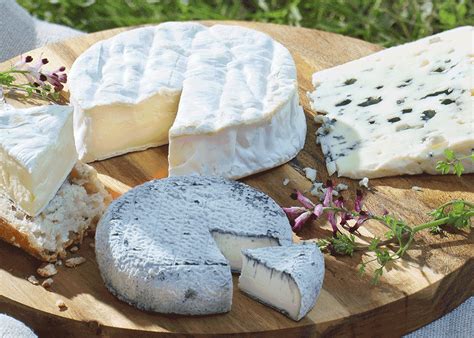 F Te Des Fromages Bio De Printemps Le Fenouil Biocoop