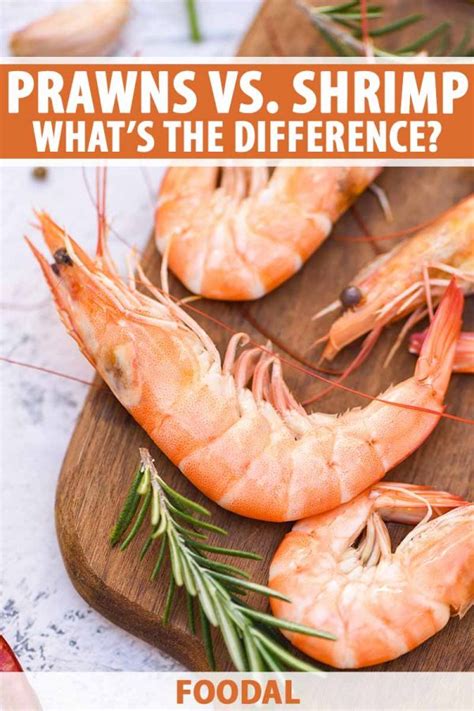 Whats The Difference Between Prawns And Shrimp Foodal