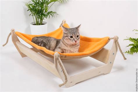Pin on for cat