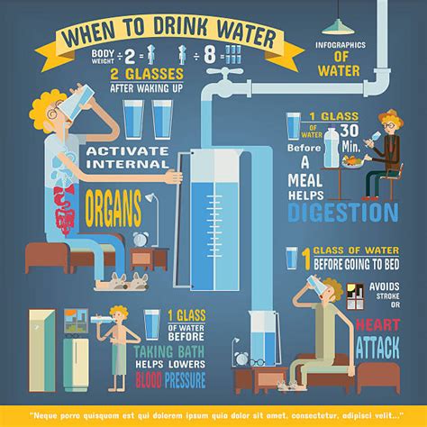 Water Consumption Infographic Stock Vectors Istock