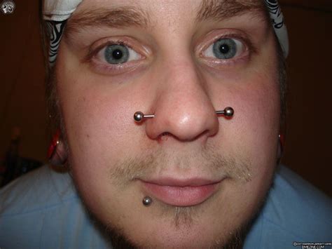 Nose Piercings Types Healing And Pics Nostril To Nasallang Hubpages