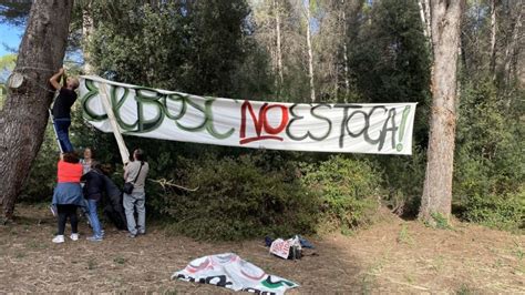 Notícies La Policia Local impedeix una penjada de cartells de