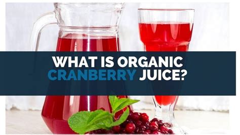 What Is Organic Cranberry Juice? [Nutrition & Mineral Info]