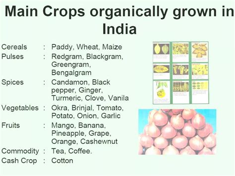 Organic farming | PPT