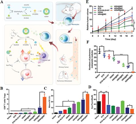 Nano Drug Delivery Systems Improve Metastatic Breast Cancer Therapy