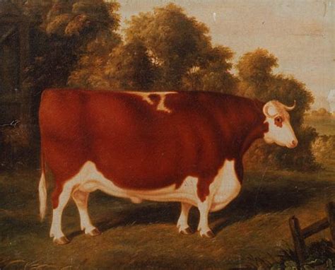 Portrait Of A Prize Hereford Bull Oil Painting For Sale At Auction On