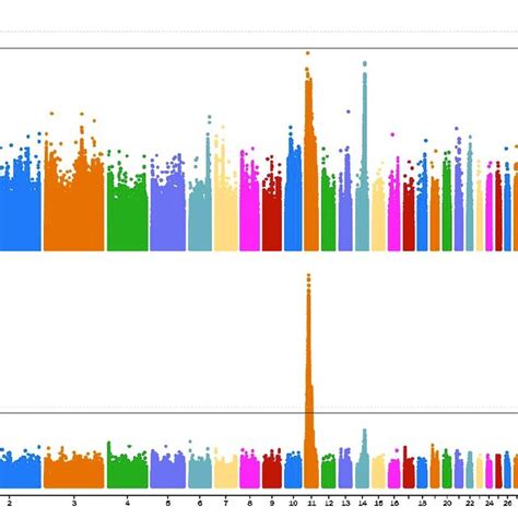 Manhattan Plots Showing The Significance Of Genetic Effects On The Beak