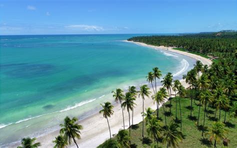 Litoral De Alagoas Saiba Tudo Sobre Viagens Blog CVC