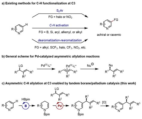 南开大学王晓晨课题组angew：硼、钯接力催化实现吡啶c3位不对称烯丙基化反应 元素有机化学国家重点实验室