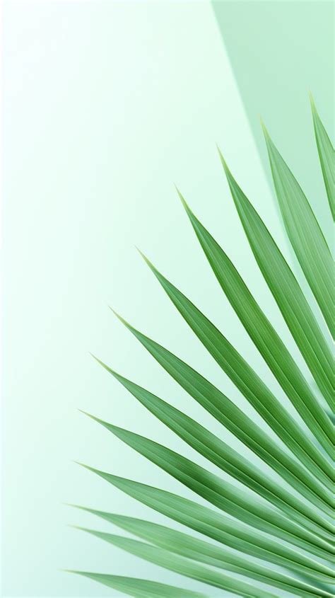 Green Palm Leaf iPhone Wallpaper