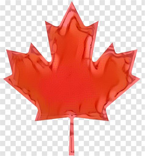 Flag Of Canada National Symbols - Tree - Royaltyfree Transparent PNG