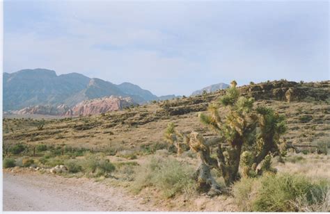 Exploring The Nevada Desert Gaby J Photography