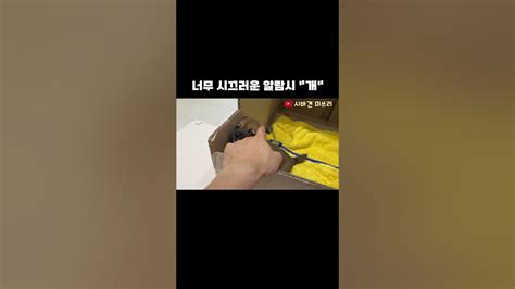 끌수 없는 고성능 알람시계 강아지ㅋㅋ Youtube