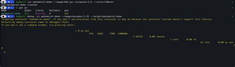 Debugging Ephemeral Container Kubectl Debug Prompt Issue Stack Overflow