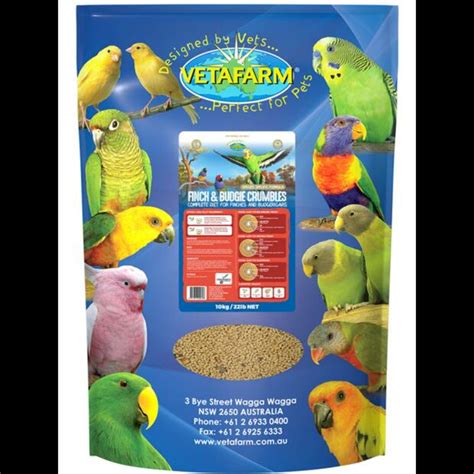 tips for canary making noise without vet 3