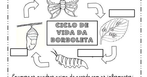 Ciclo Da Borboleta Para Imprimir - Metamorfose da borboleta para imprimir | Metamorfose borboleta, Ciclo ...