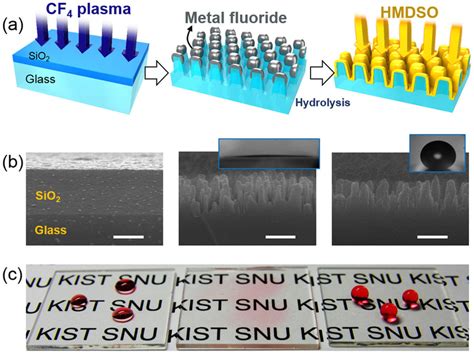 Schematic Representation Of The Fabrication Process Of Nanostructured