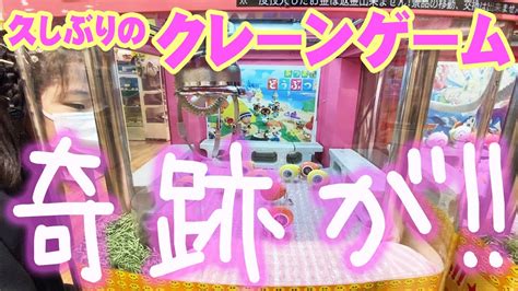 【あつ森】久しぶりにクレーンゲームしたら奇跡が？！【ufoキャッチャー】【しほりみチャンネル】 キューティ・プラス