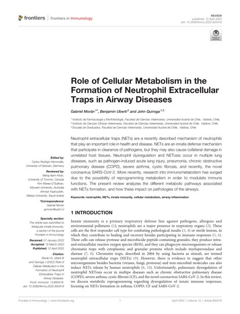 Pdf Role Of Cellular Metabolism In The Formation Of Neutrophil