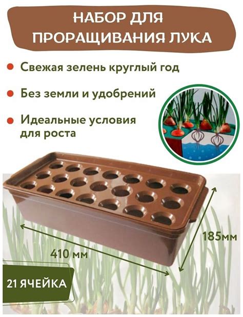 Лоток Для Выращивания Лука Купить В Москве За 140