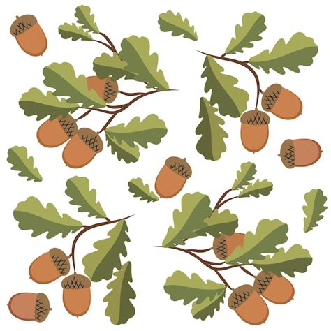 Premium Vector Vector Illustration Of An Oak Branch With Leaves And