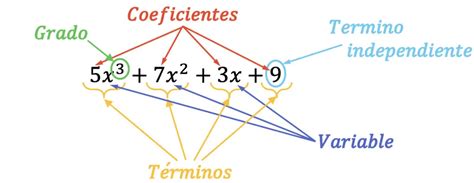 Todo Sobre Los Polinomios Teor A Ejercicios Resueltos Ejemplos