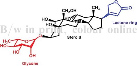 General structure of cardiac glycosides. | Download Scientific Diagram