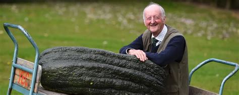 СЕМЕНА ОВОЩЕЙ ГИГАНТОВ 2025 | ВКонтакте