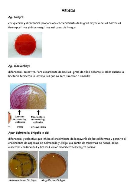 Muestra de cultivo de bacteriología Resumenes Med uDocz