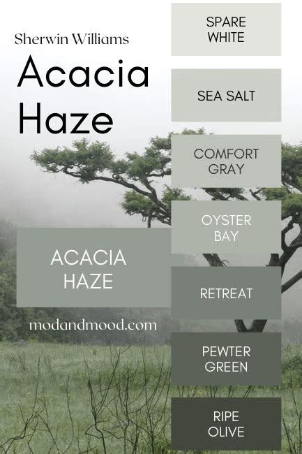 Sherwin Williams Acacia Haze A Delicious Gray Green Deep Dive Dupes Sw