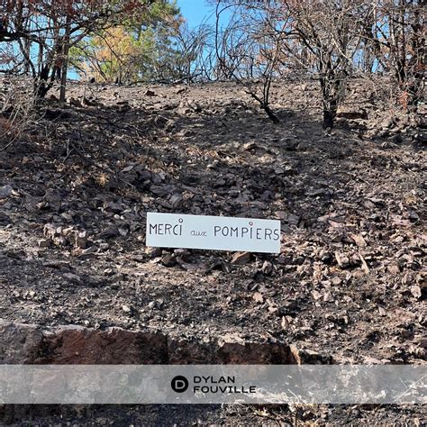 Bretagne Le Feu En Forêt De Brocéliande Est Fixé Dylan Fouville