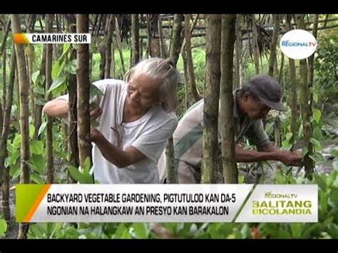 Balitang Bicolandia Baretang Agri Youtube