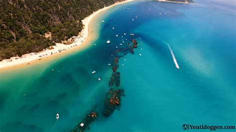 Snorkelling The Tangalooma Shipwrecks A Comprehensive Guide