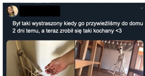 Ale S Odziak Jeja Pl