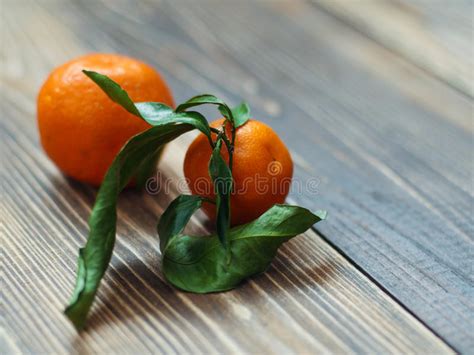 Mandarinas Frescas Con Las Hojas Y Los Mandarines Maduros En La Tabla