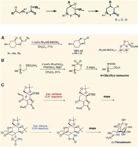 A To C Intramolecular Carbene And Nitrene Insertion Into Sp Ch