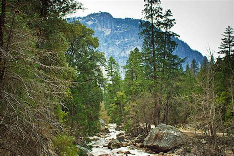 30+ Stone Bridge Yosemite National Park Merced River Bridge Stock Photos, Pictures & Royalty ...