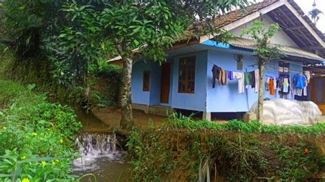 Suasana Kampung Tengah Hutan Kehidupan Di Pedalaman Tasikmalaya Youtube