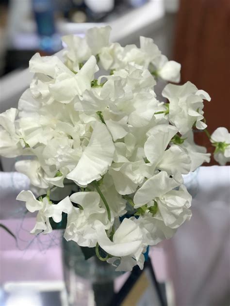 White Sweet Peas Bridal Bouquet