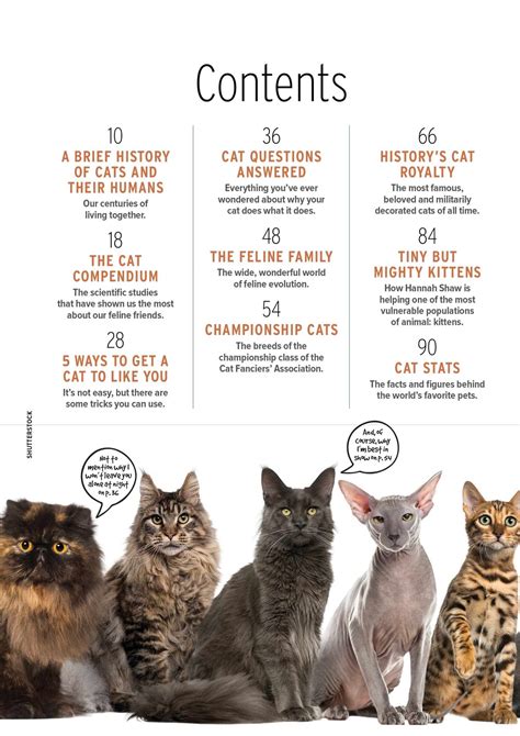 Inside Your Cats Mind Guide To Speak Fluent Feline History And Evolu