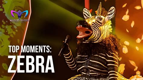 Zebra S Top Moments On The Masked Singer South Africa YouTube