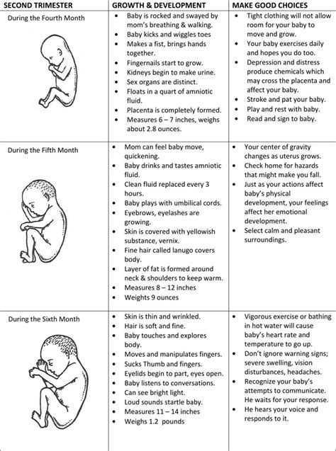 Free Prenatal Chart Pdf 414kb 3 Page S Page 2